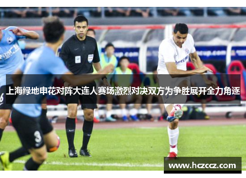 上海绿地申花对阵大连人赛场激烈对决双方为争胜展开全力角逐